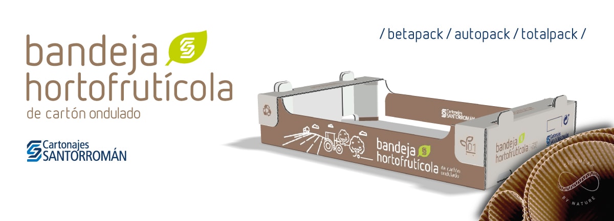 Bandeja hortofrutÍcola