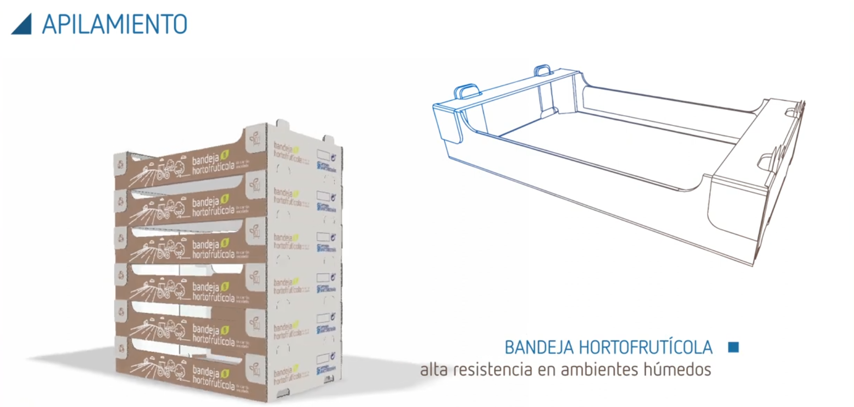Bandeja hortofrutícola Cartonajes Santorromán